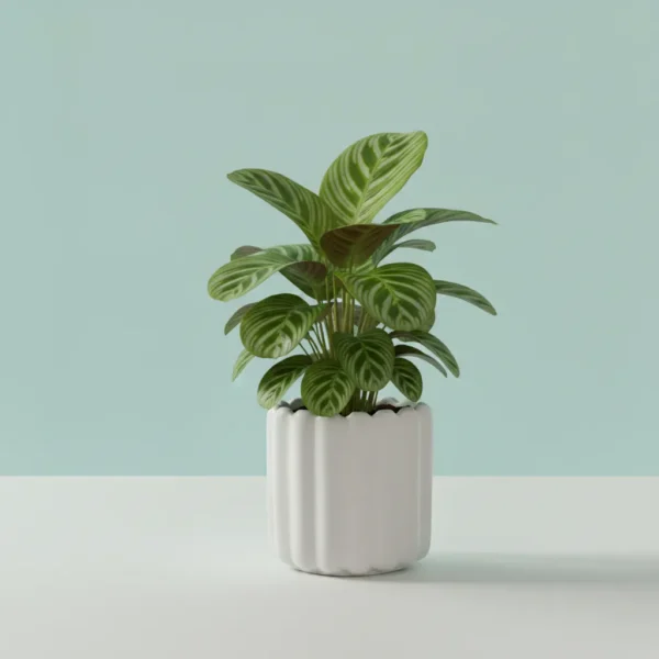 13428 (9)_converted 13428 (9)_converted