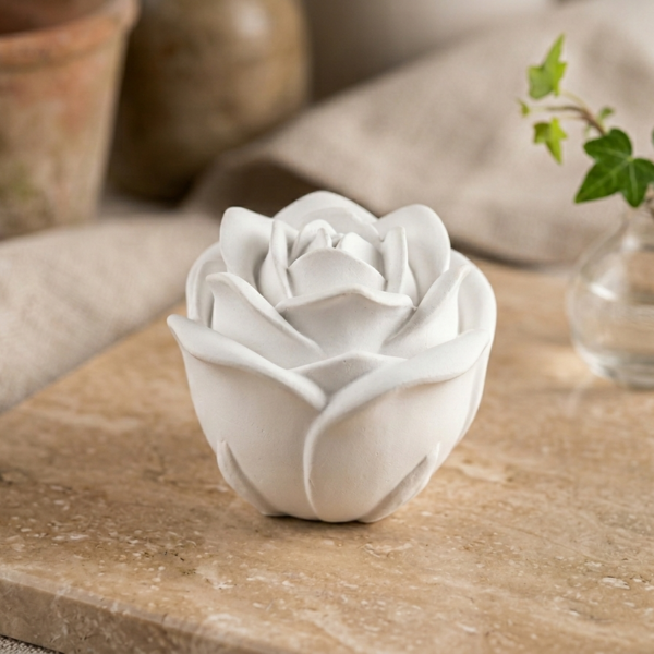 1772313335833 1772313335833