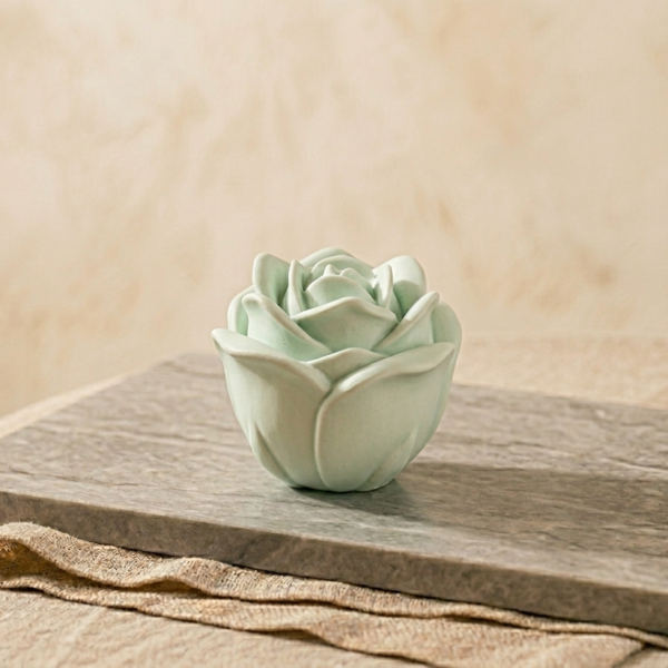 1772313446002 1772313446002