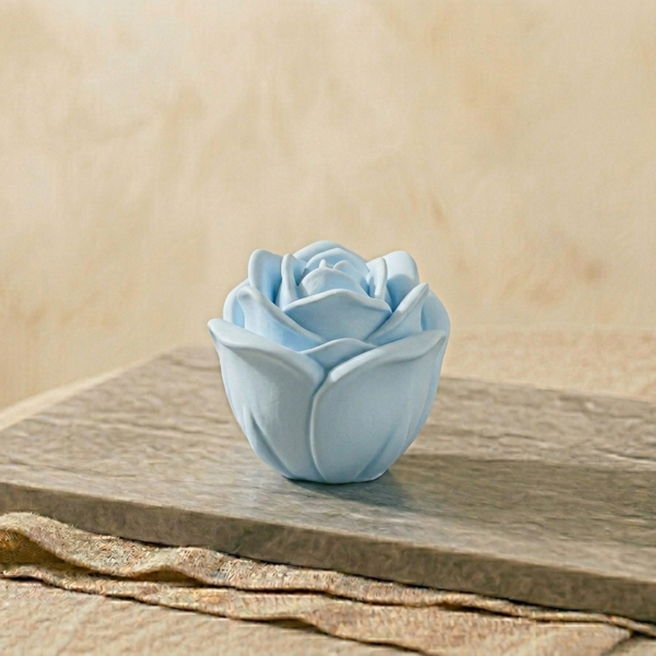 1772313504666 1772313504666